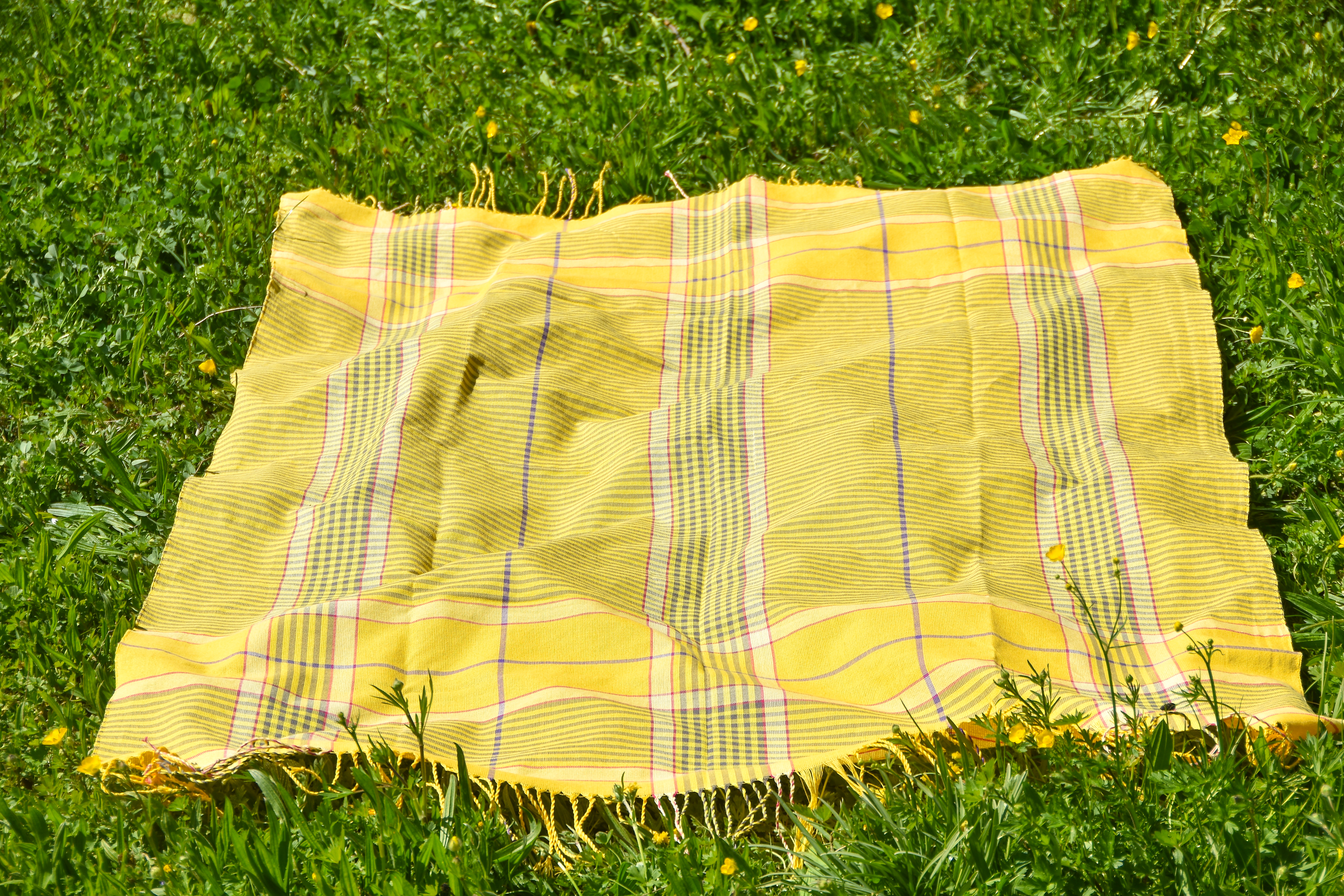 Strandtuch-gelb-Picknickdecke-ksg_165601 Strandtuch-gelb-Picknickdecke-ksg